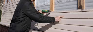 Best Insulated Siding Installation  in Albion, NE